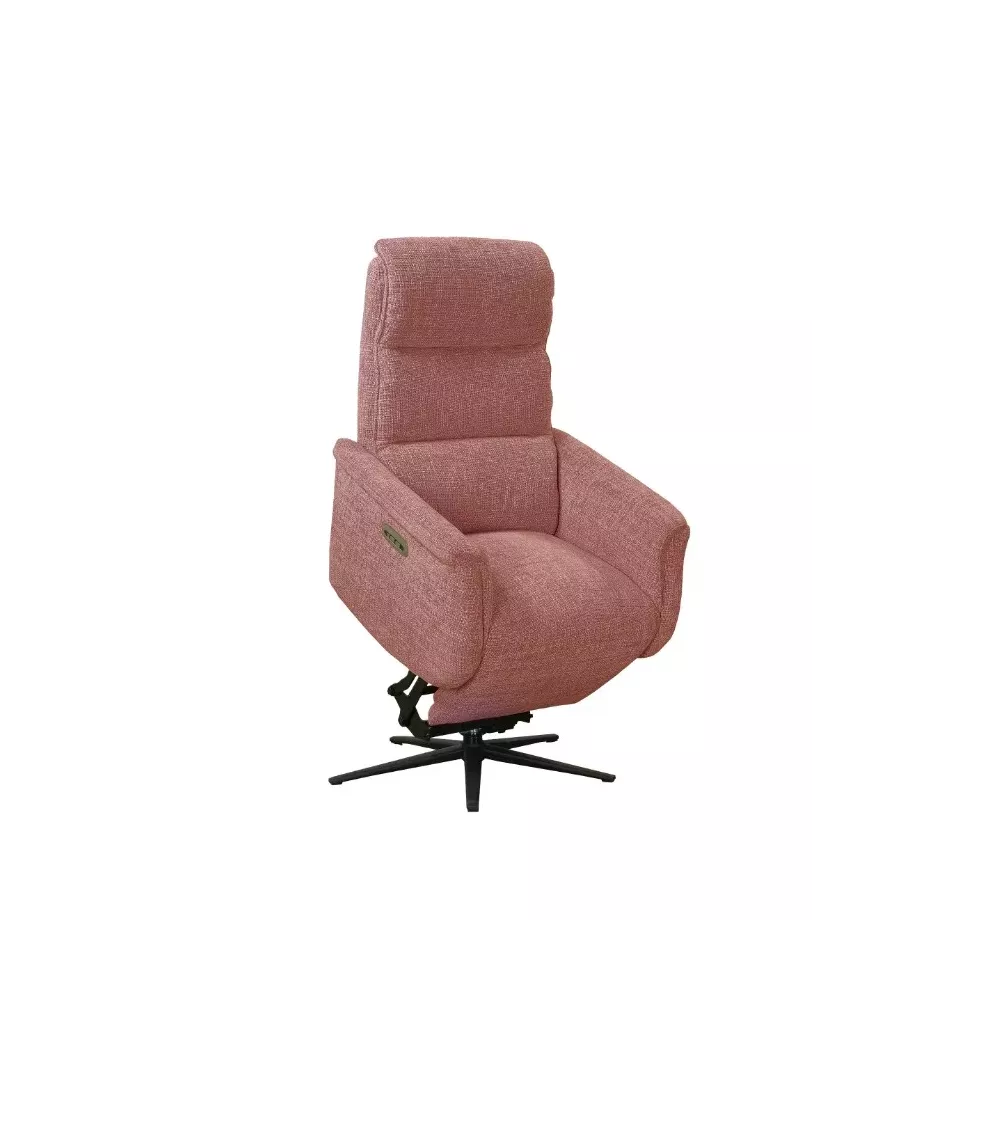 FAUTEUIL RELEVEUR PIVOTANT RINGO CENTRELEC C37