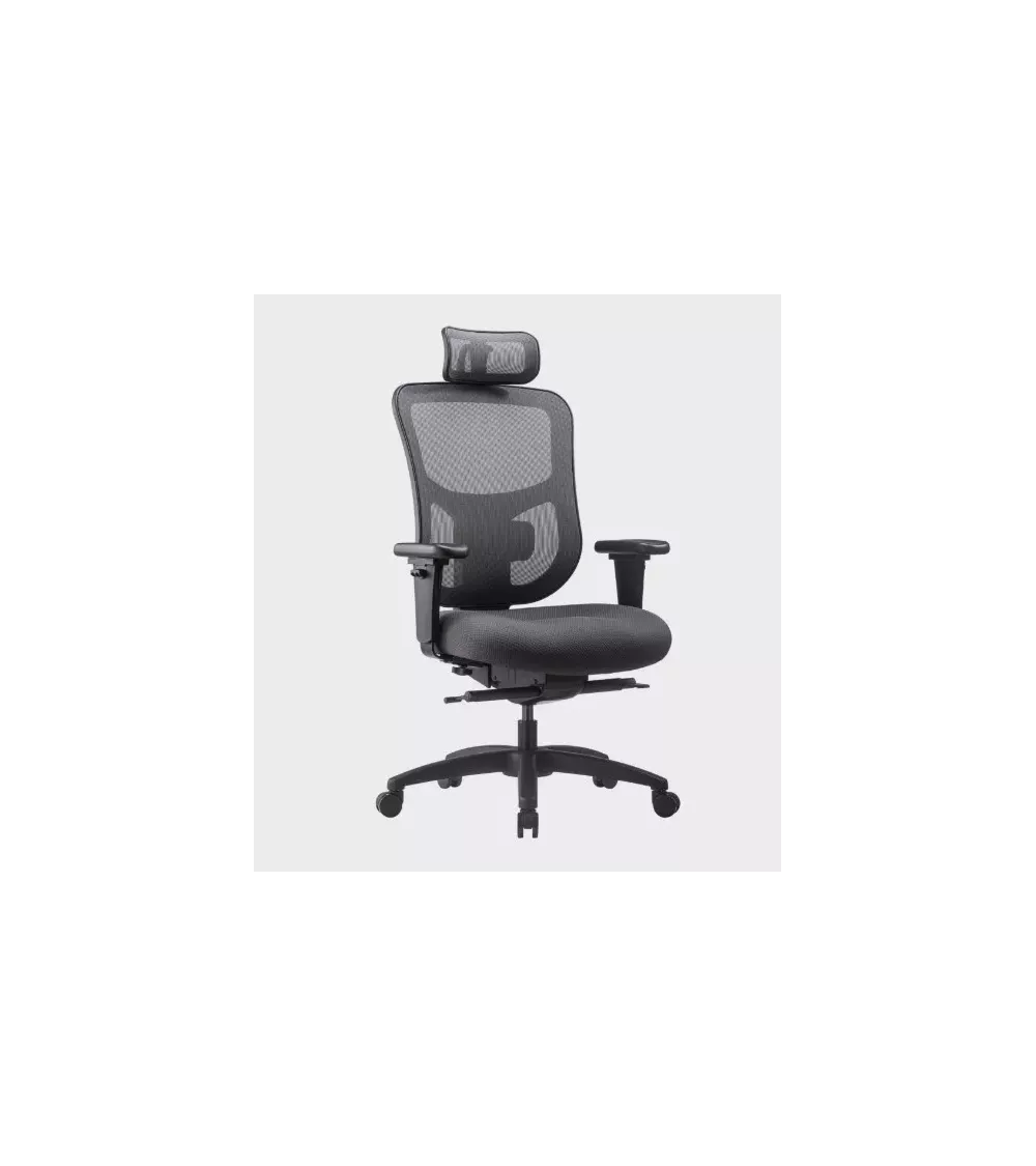 Fauteuil Bigmax Haut Dossier à têtière spécial grande largeur G4