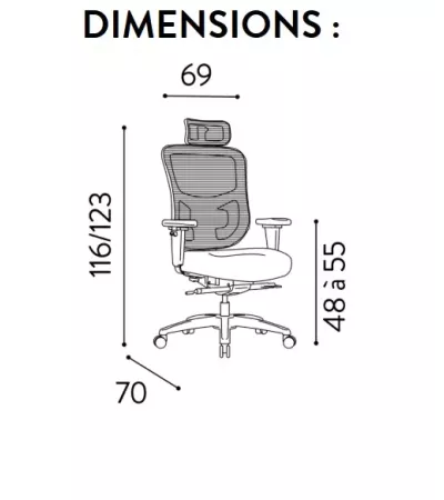 Fauteuil Bigmax Haut Dossier à têtière spécial grande largeur G4