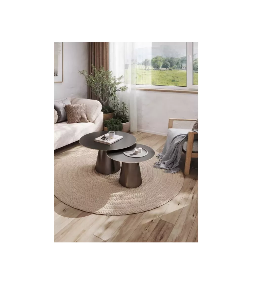 LOT DE 2 TABLES BASSE A16